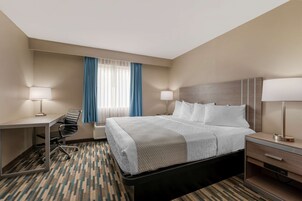 Una habitación de hotel con cama, escritorio, silla y mesita de noche.