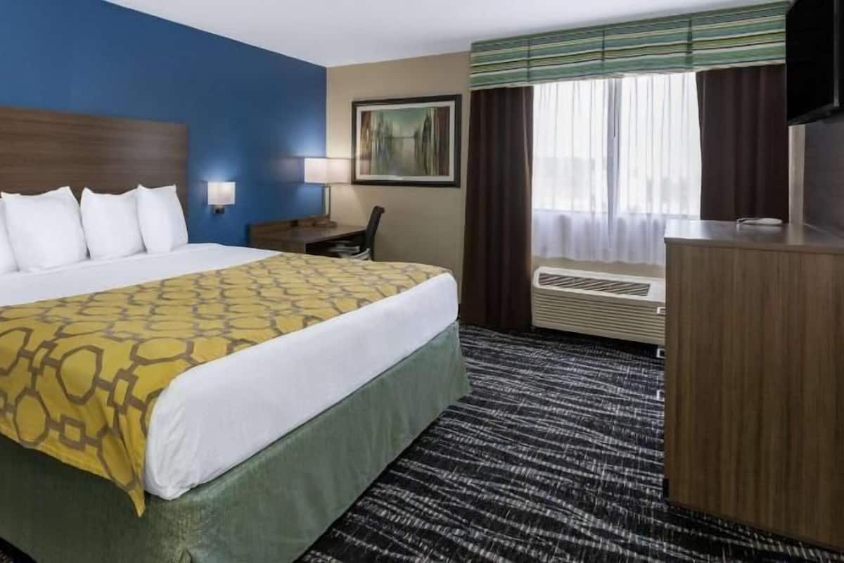 Down duvets, pillow-top beds, desk, blackout curtains
