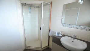 A bathroom with a glass shower enclosure, a white sink, and a mirror above the sink. - Central City Motor Inn (Bakery Hill)