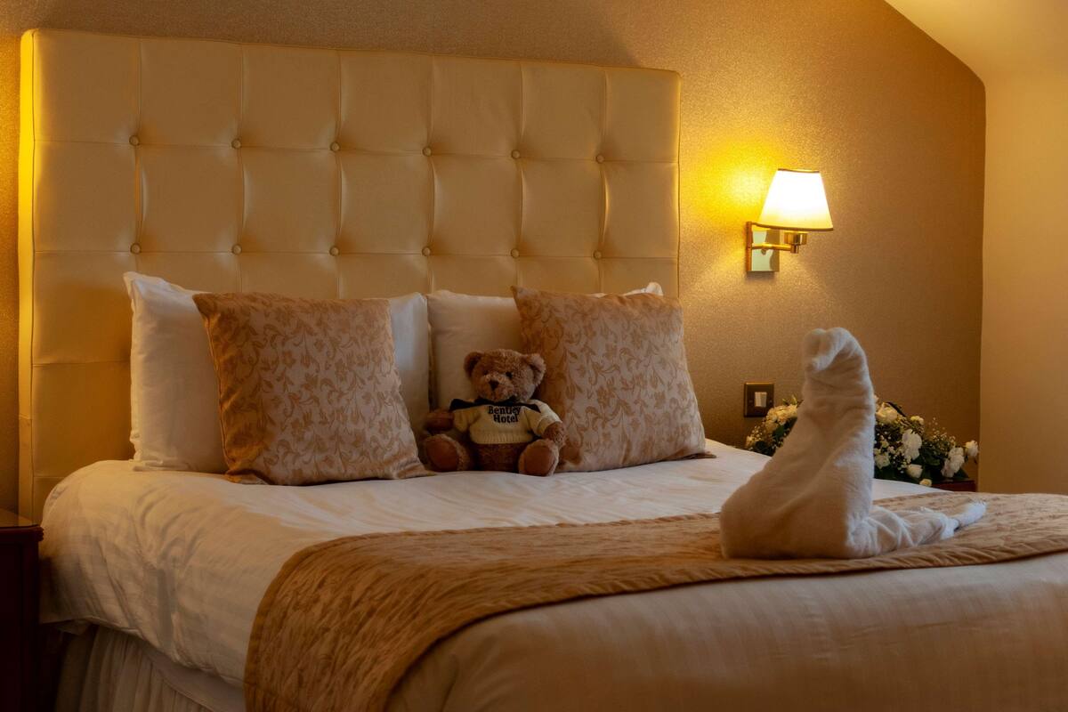 A hotel room with a tufted headboard, a plush bed, a teddy bear, and a white cat.