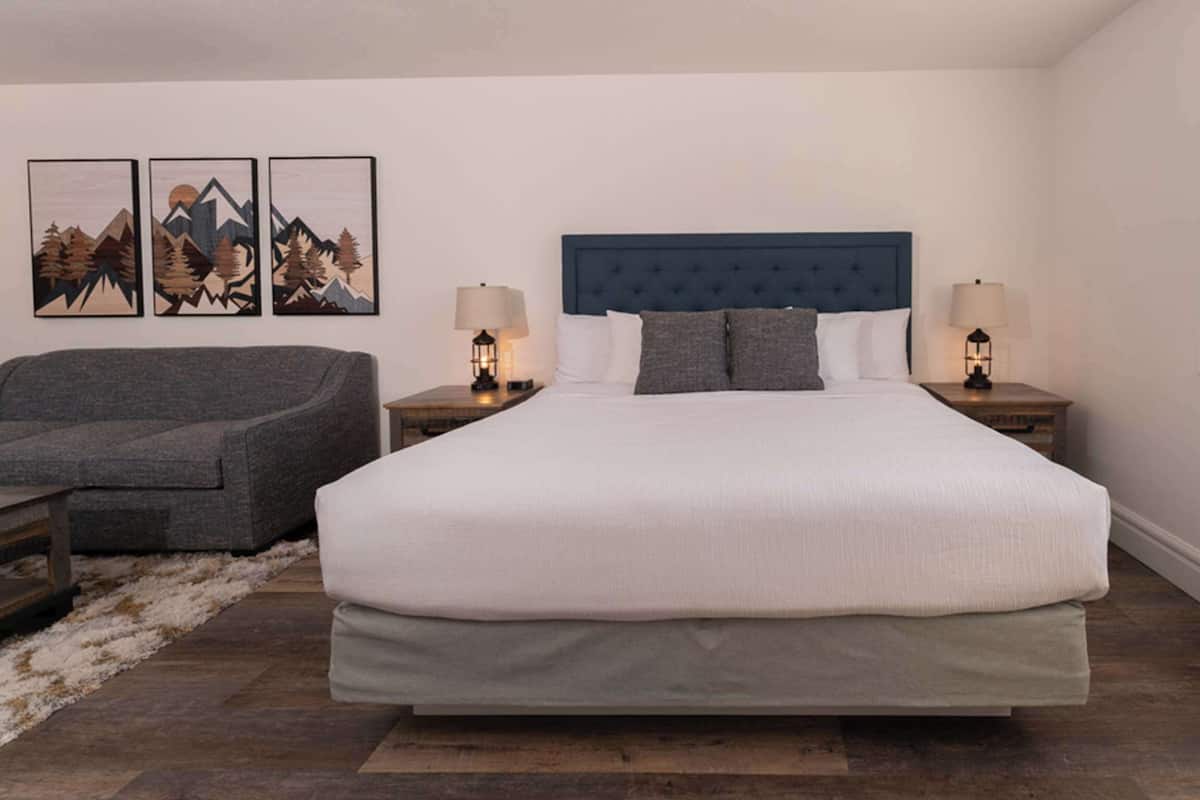 A bedroom with a large bed, two bedside tables with lamps, a grey sofa, and a rug.