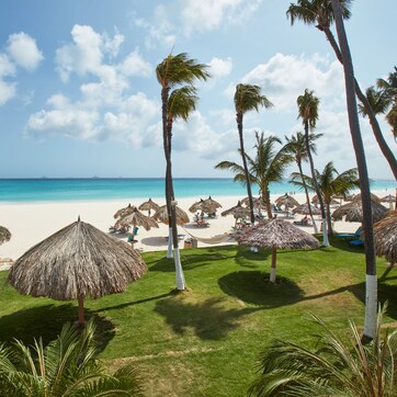 A beach with thatched umbrellas, palm trees, and a clear blue sky.