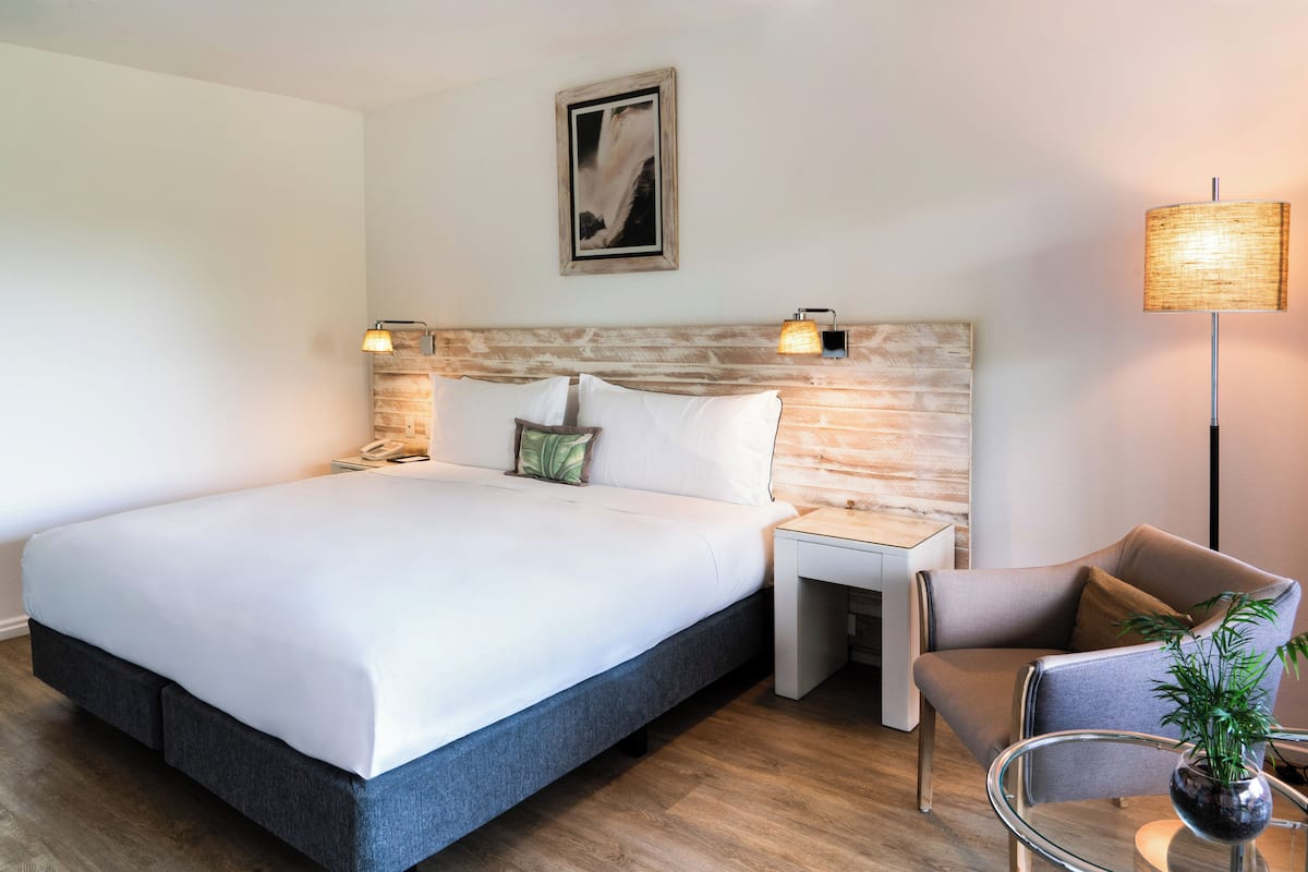 1 quarto, roupas de cama de algodão egípcio, roupas de cama premium
