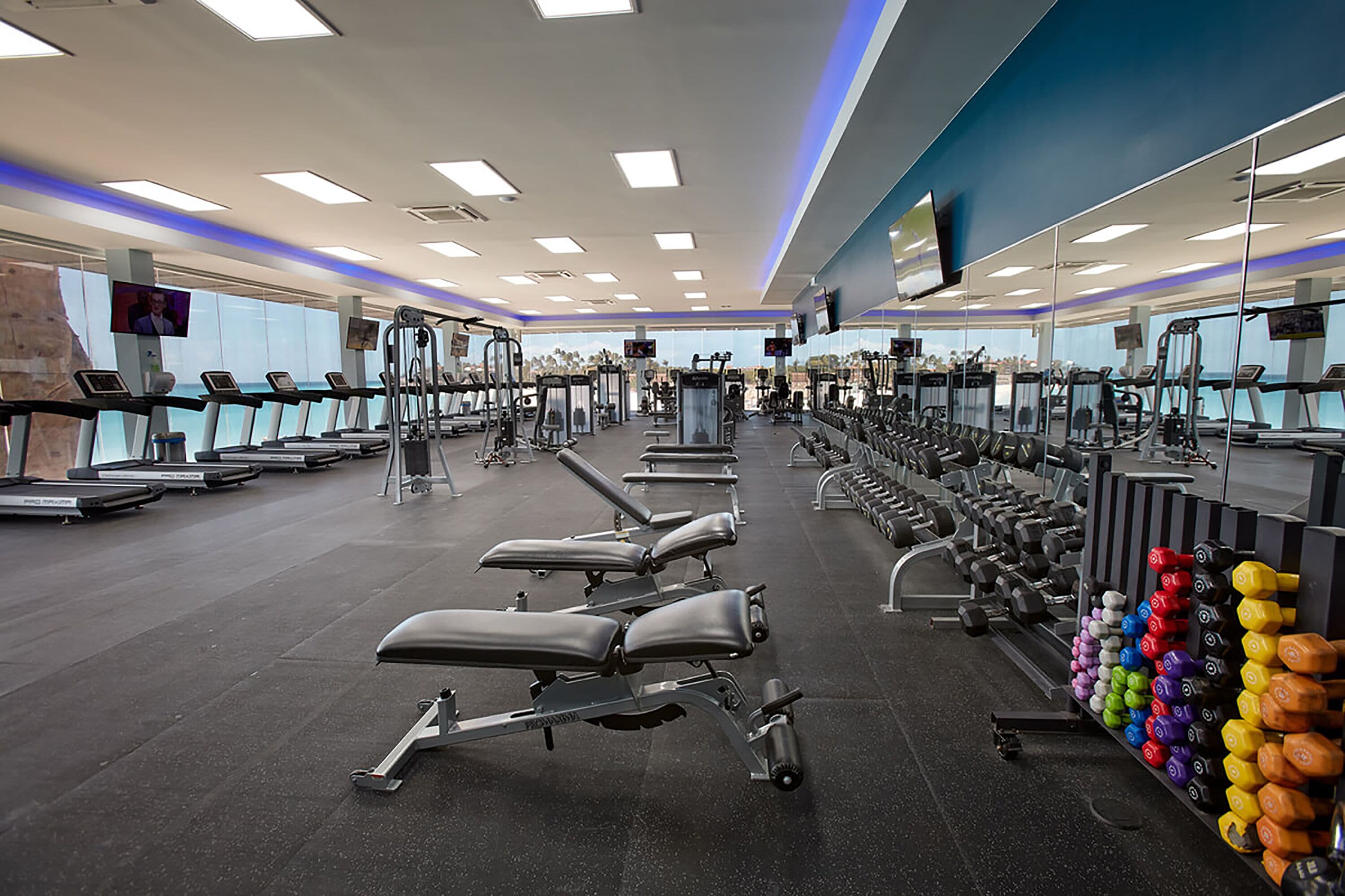 A gym with treadmills, weight machines, and a wall of dumbbells.