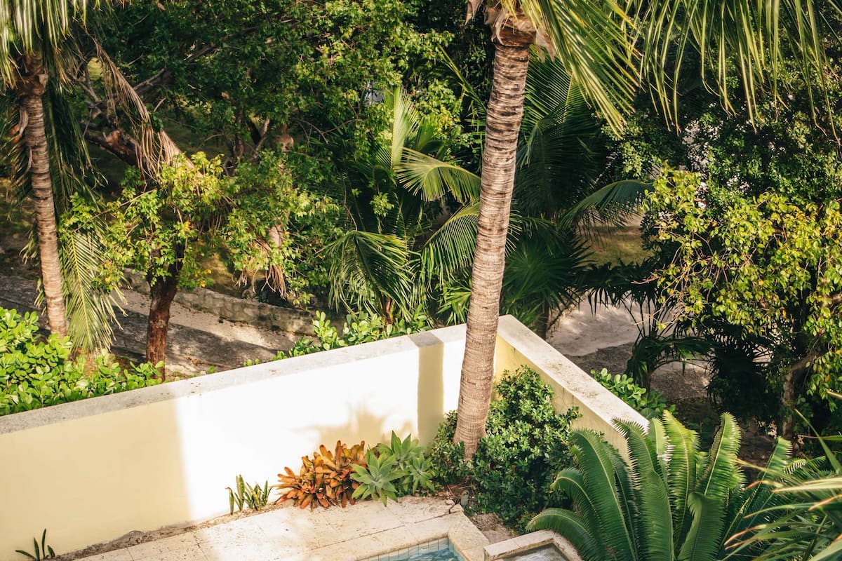 A swimming pool surrounded by lush greenery and palm trees.
