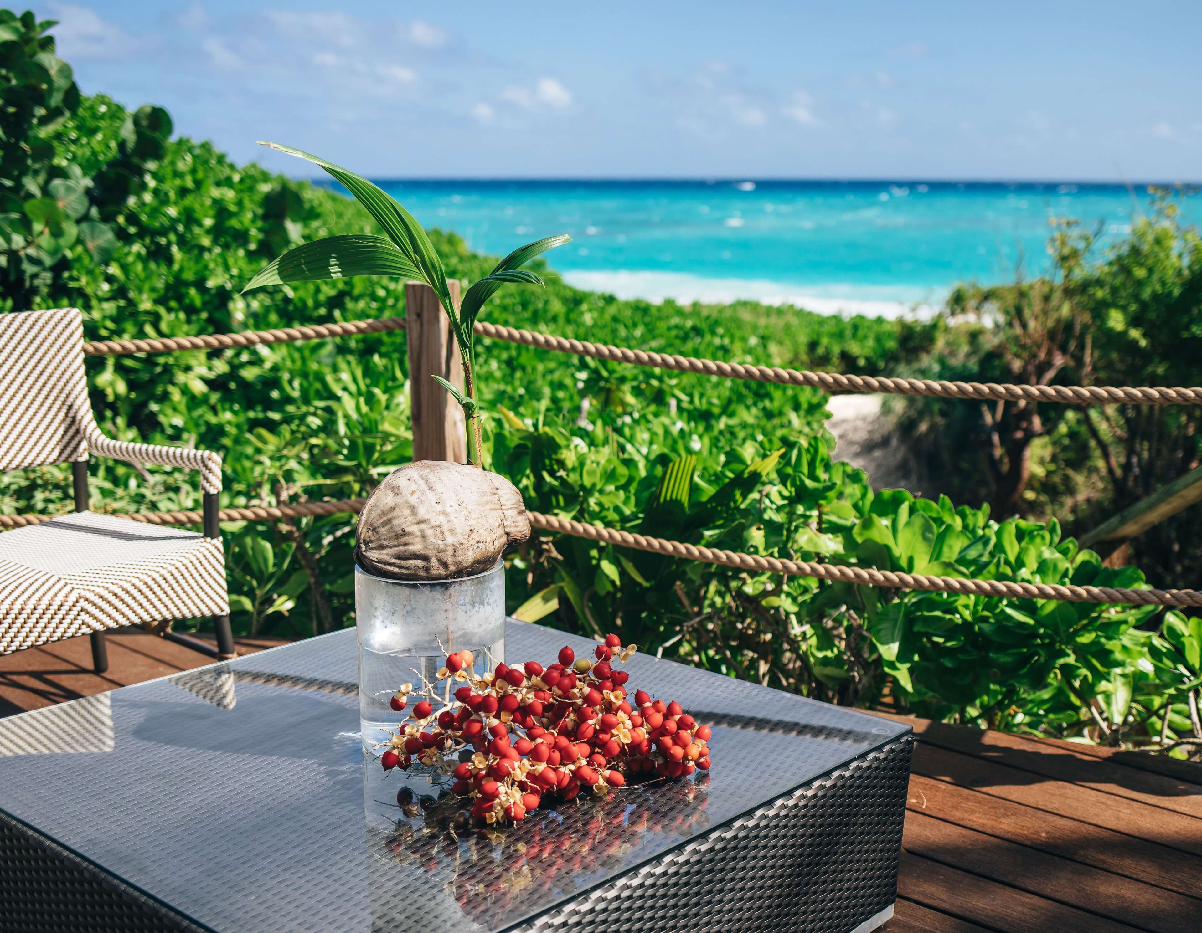 A glass-top table with a coconut shell and red berries on a wooden deck overlooking a beach.