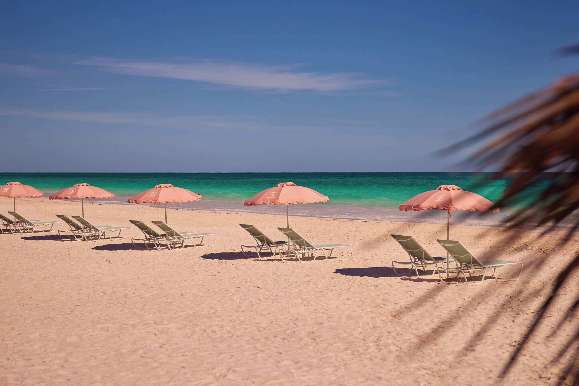 海滩