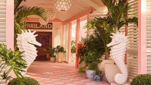 A hotel entrance with a pink facade, a covered walkway, and tropical plants. - Coral Sands Inn & Cottages (Dunmore Town)