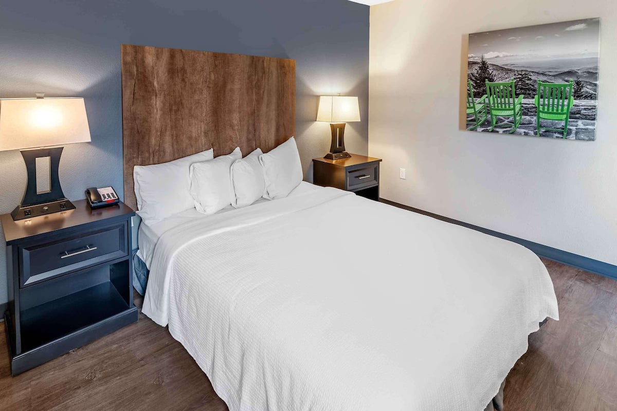 Deluxe Studio, 1 Queen Bed with Sofa bed, Accessible Bathtub | Premium bedding, desk, iron/ironing board, free WiFi