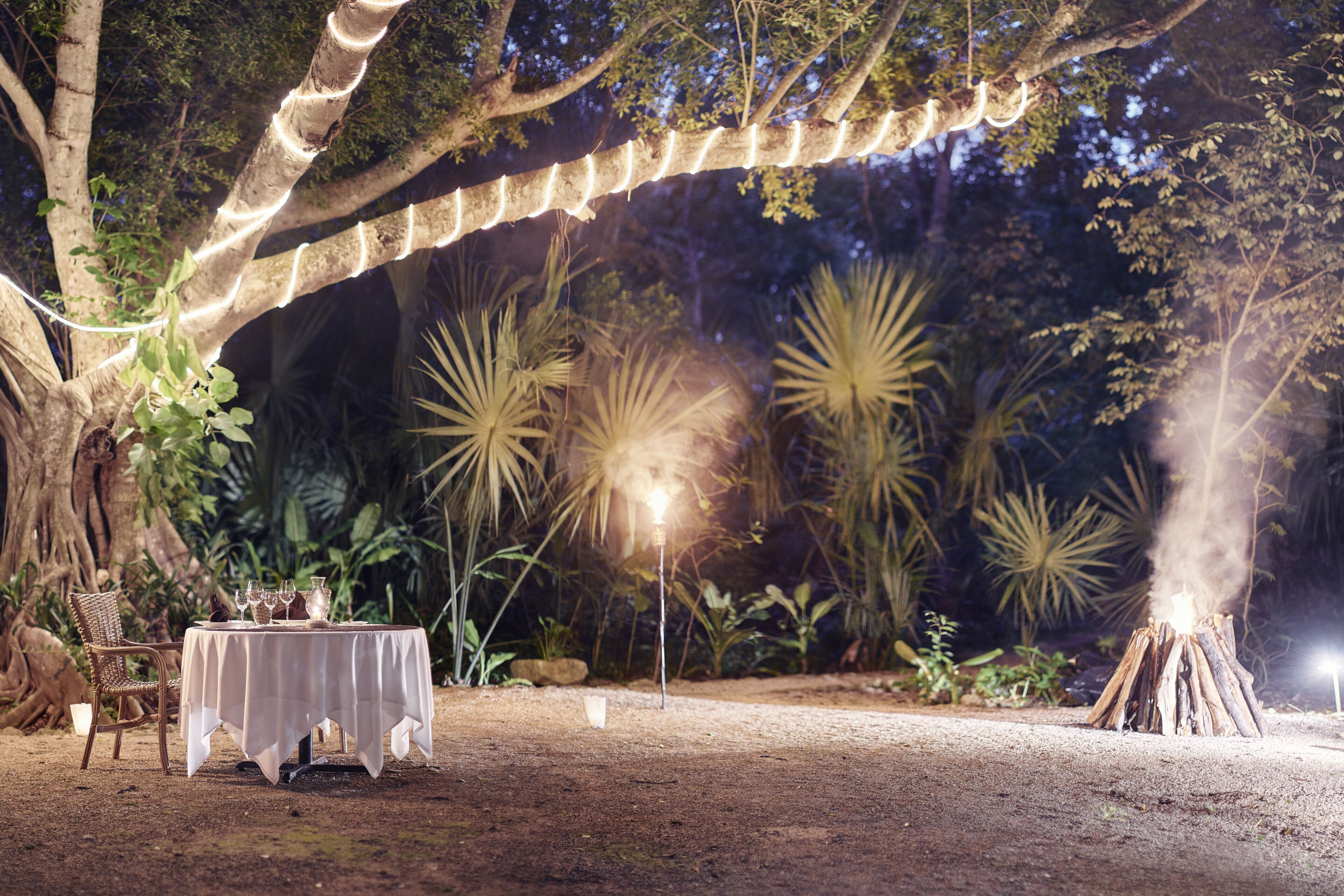 Un espacio de comedor al aire libre con una mesa dispuesta para una comida, rodeado de plantas tropicales y un árbol grande.