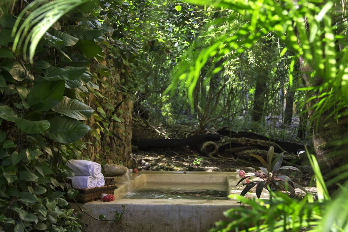 A serene garden with a small pond, lush greenery, and a stone bench with a basket and a rolled-up mat.