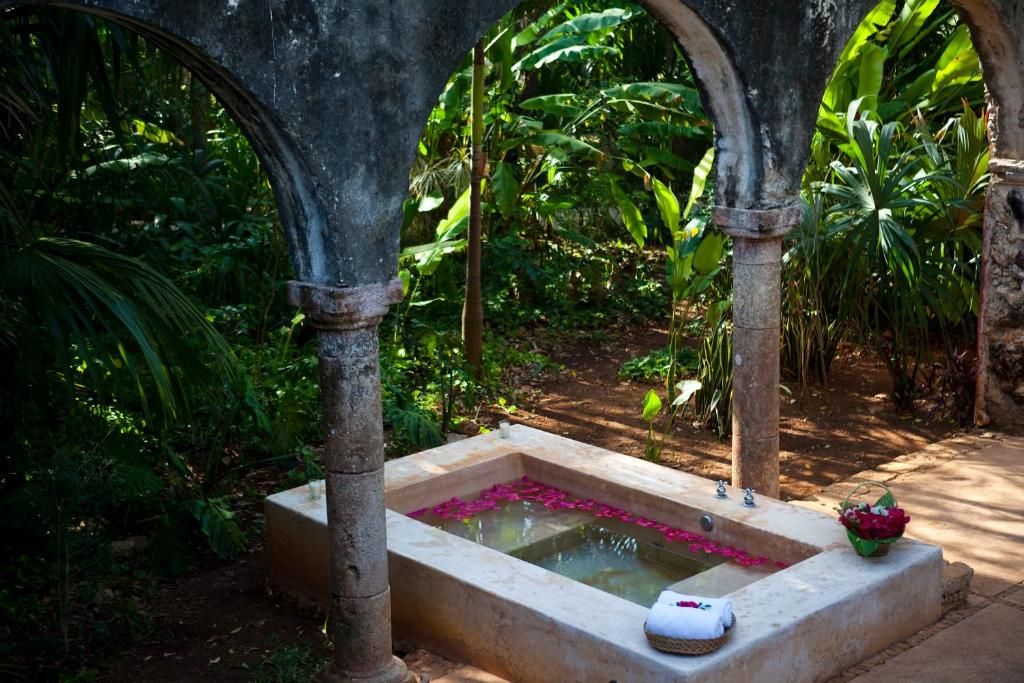 A rectangular stone bathtub with water and rose petals, surrounded by greenery and stone arches.