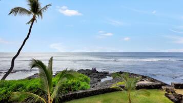 Suite, 2 Bedrooms, 2 Bathrooms, Oceanfront | Pemandangan dari bilik