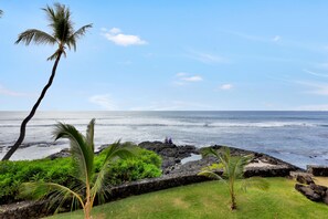 Enjoy the tranquil ocean views and lush greenery from this serene coastal setting.