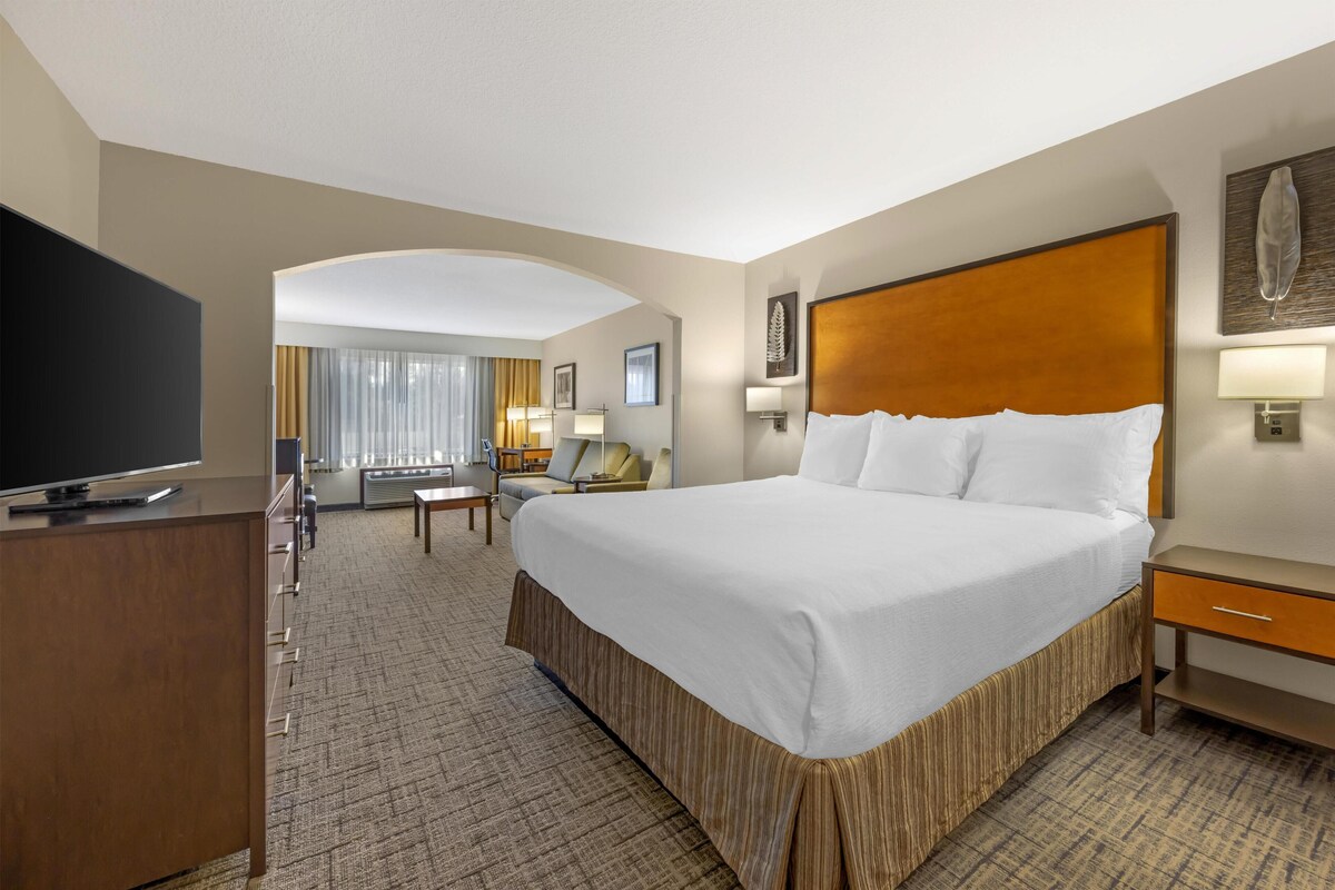 Suite, 1 King Bed, Non Smoking, Refrigerator & Microwave (with Single Sofabed) | Pillowtop beds, blackout drapes, iron/ironing board, high-speed internet