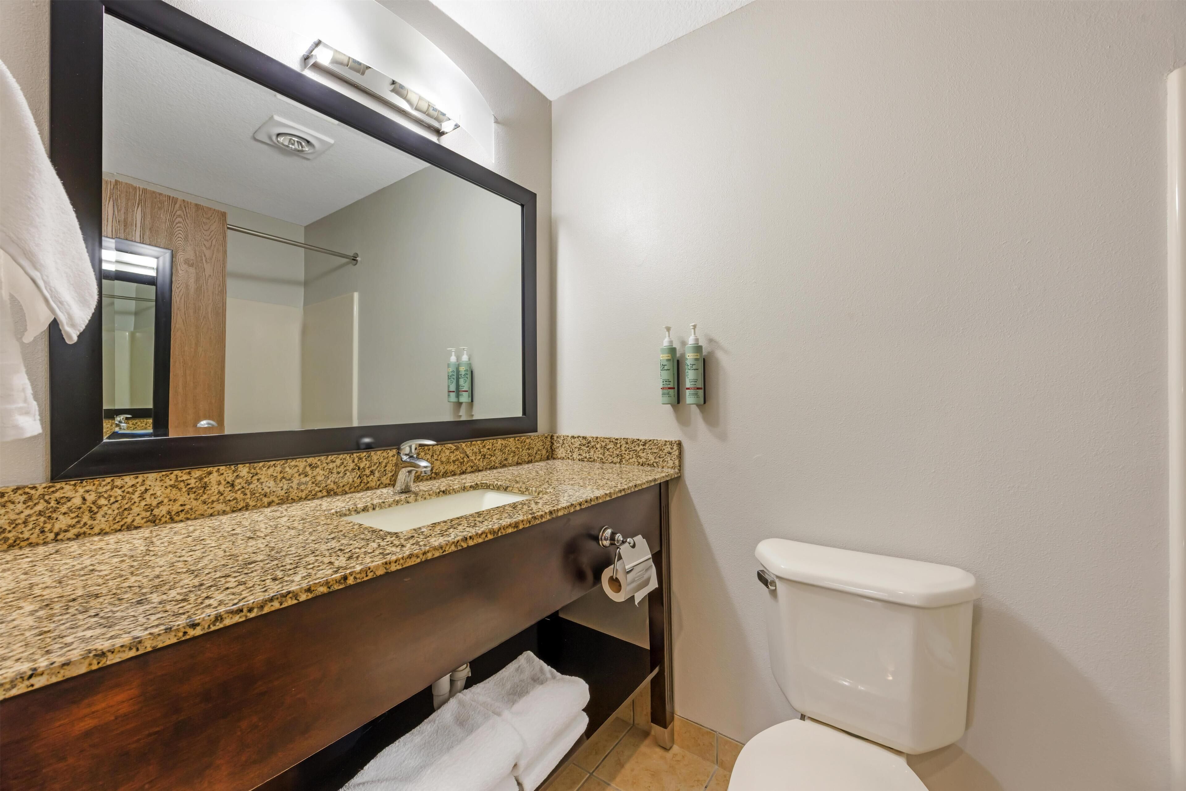 Suite, 1 King Bed, Non Smoking, Refrigerator & Microwave (with Single Sofabed) | Bathroom | Free toiletries, hair dryer, towels, soap