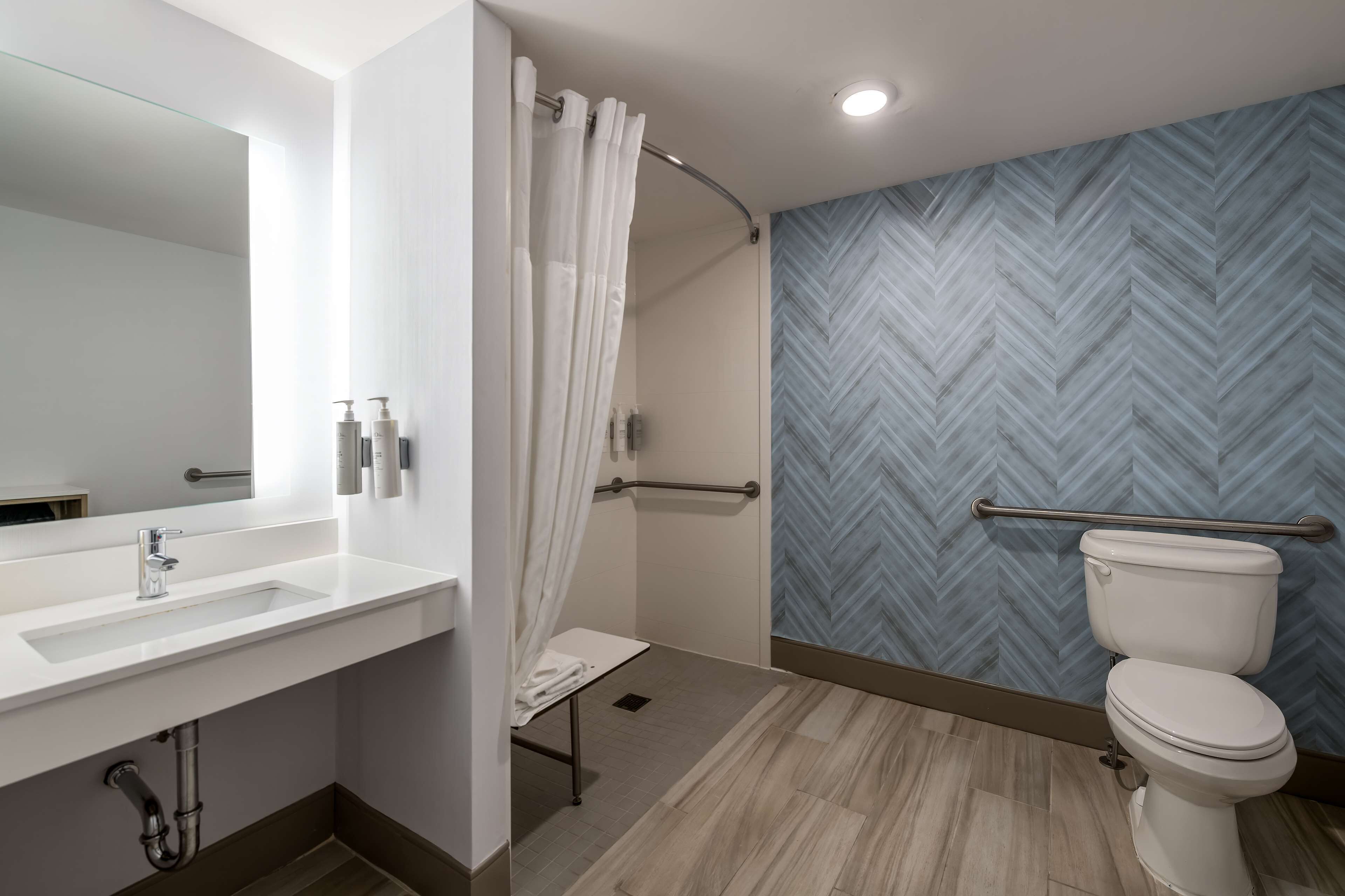 Chambre Standard, accessible aux personnes à mobilité réduite (Roll-In Shower) | Douche de la salle de bain