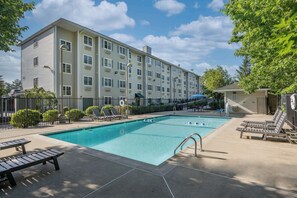 Seasonal outdoor pool, pool umbrellas, sun loungers