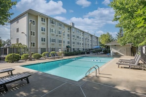 Seasonal outdoor pool, pool umbrellas, sun loungers