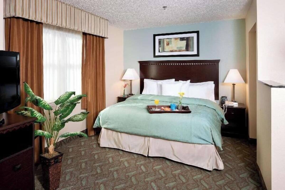 A hotel room with a bed, two bedside lamps, a television, a potted plant, and a framed picture on the wall.