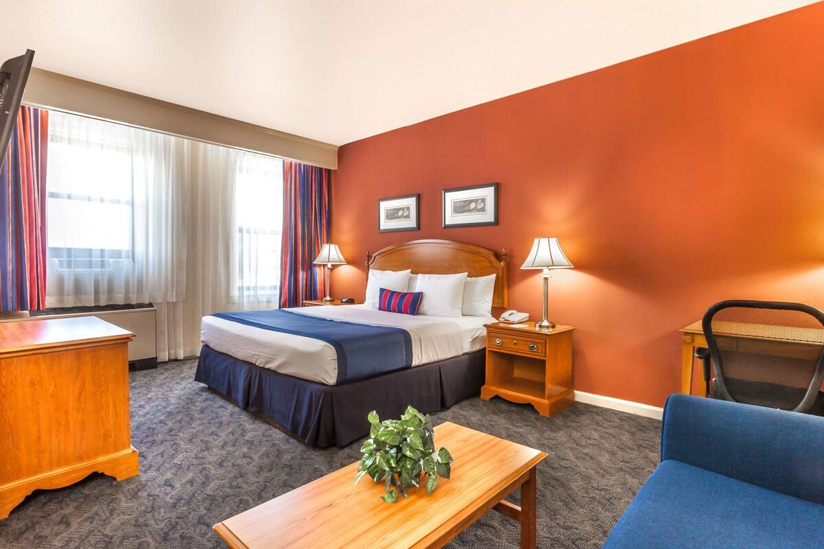 A hotel room with a bed, bedside tables, a desk, a chair, and a plant.