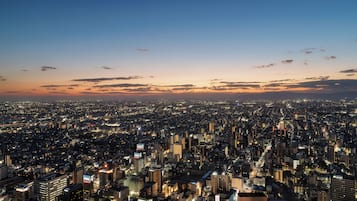 A panoramic view of a densely populated cityscape at dusk with illuminated buildings and a clear sky.