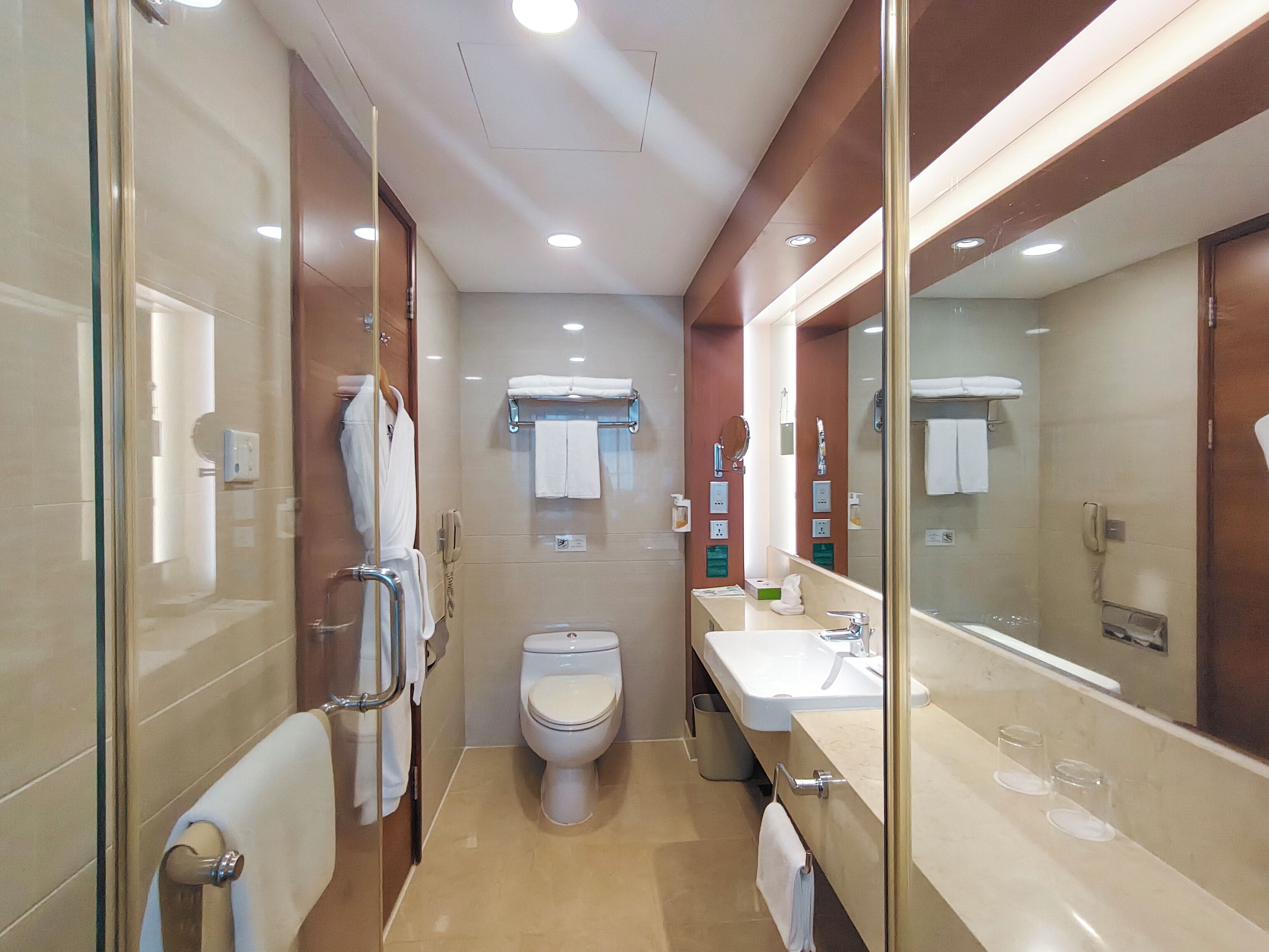 A modern bathroom with a glass shower enclosure, a toilet, a sink with a mirror, and a towel rack.