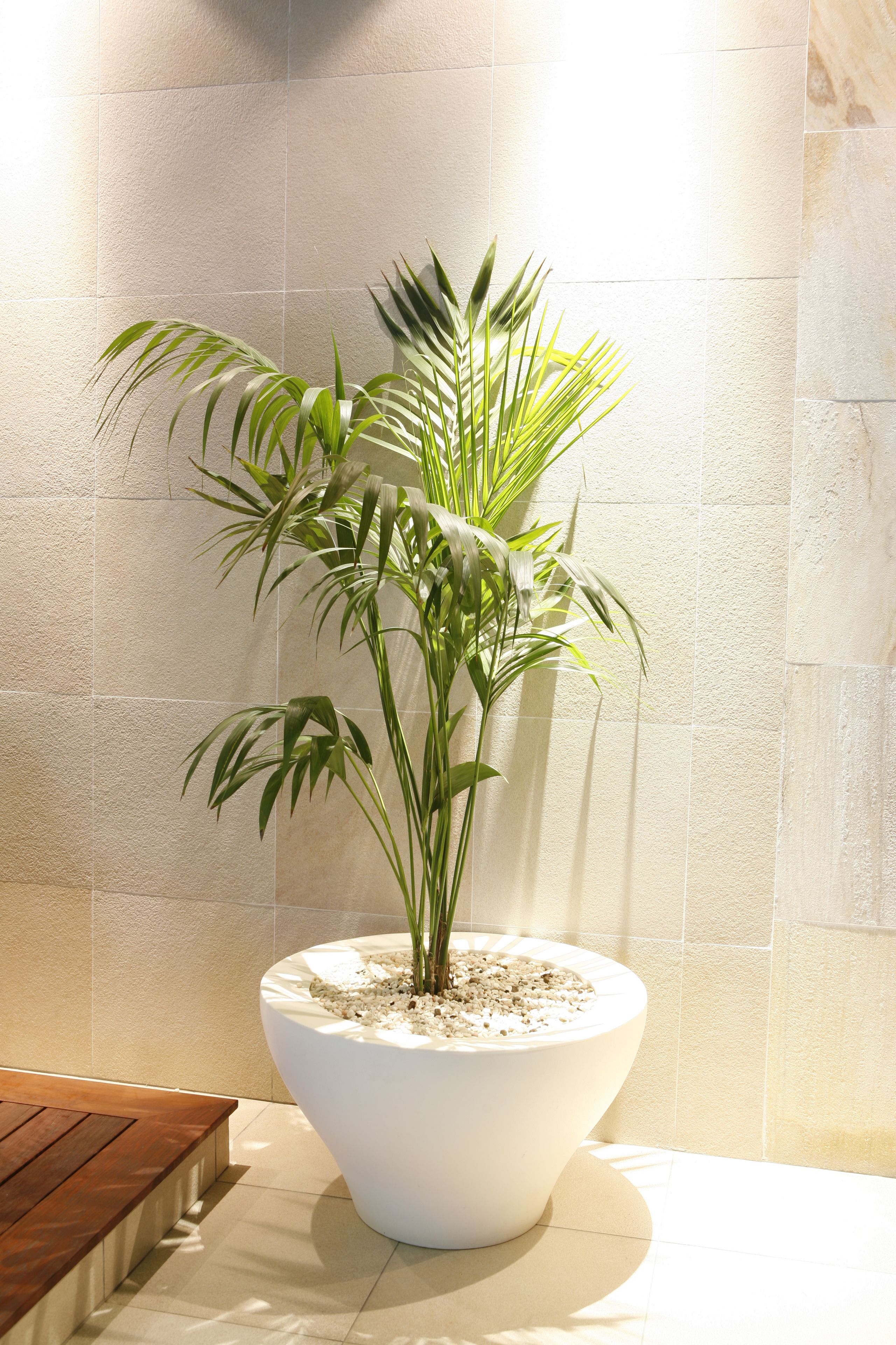 Foto - Montebelo Viseu Congress Hotel & Spa