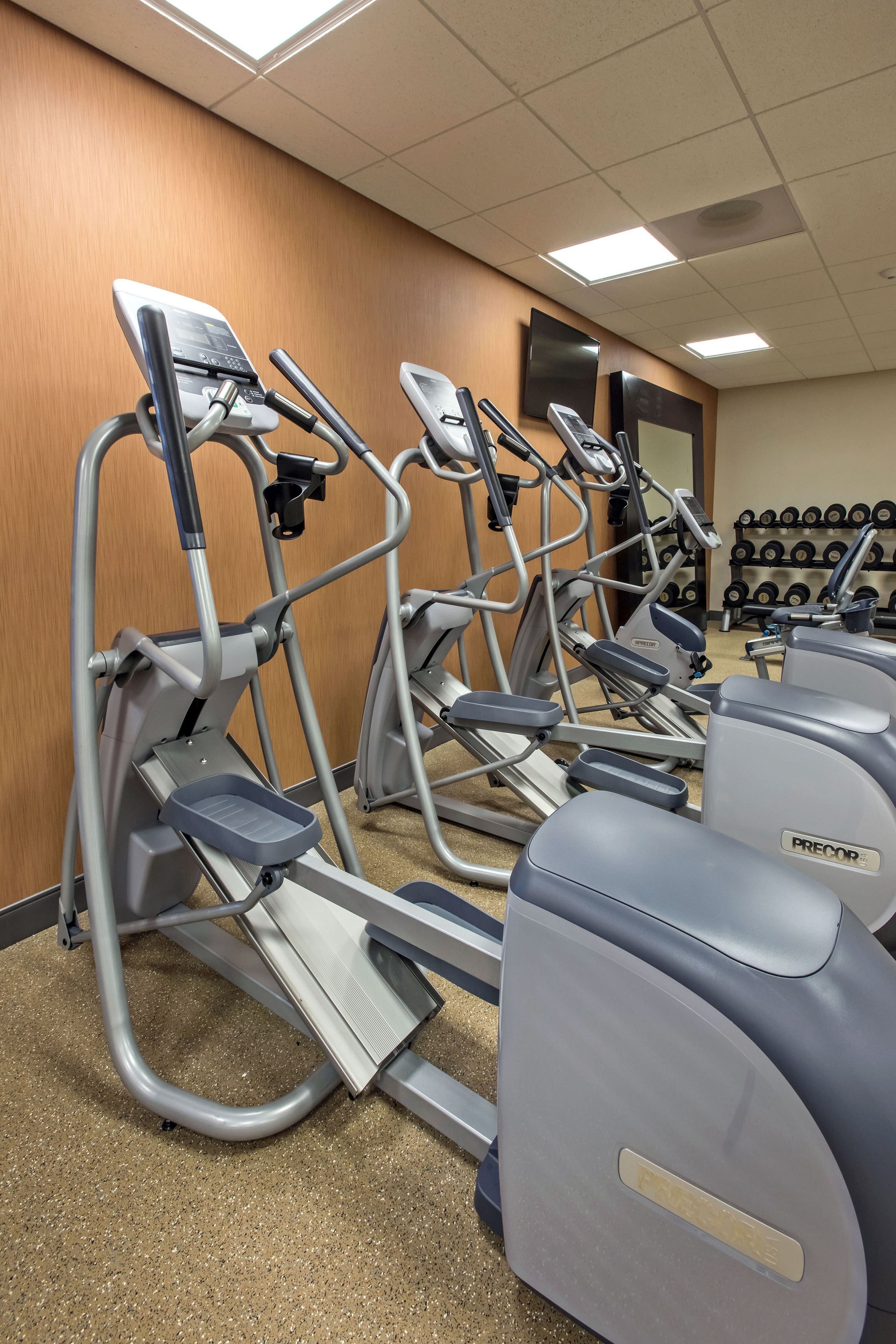 A gym with treadmills, ellipticals, and dumbbells.