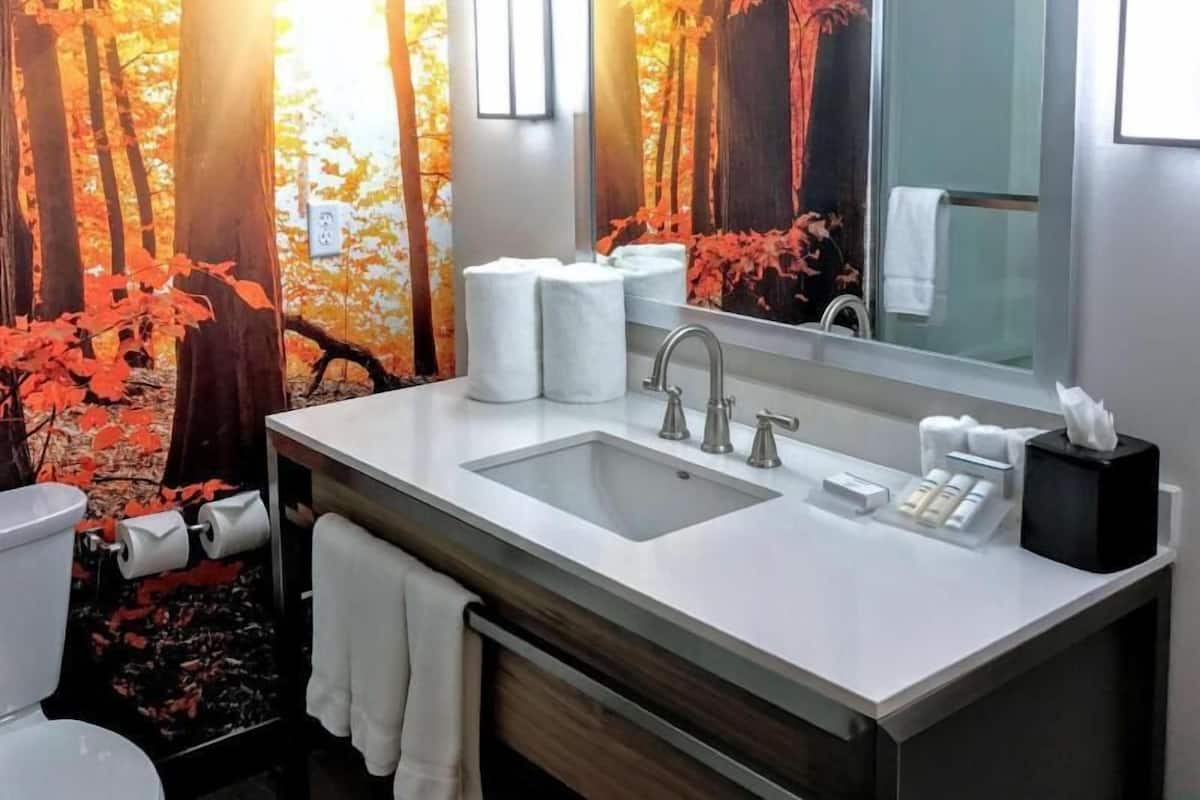 Suihkun ja ammeen yhdistelmä, ilmaiset hygieniatuotteet, pyyhkeet