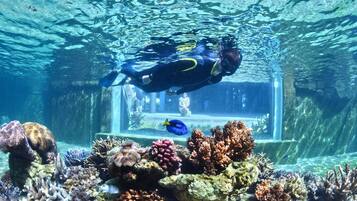 Immagine subacquea di un sub in una piscina con diversi coralli e un pesce.