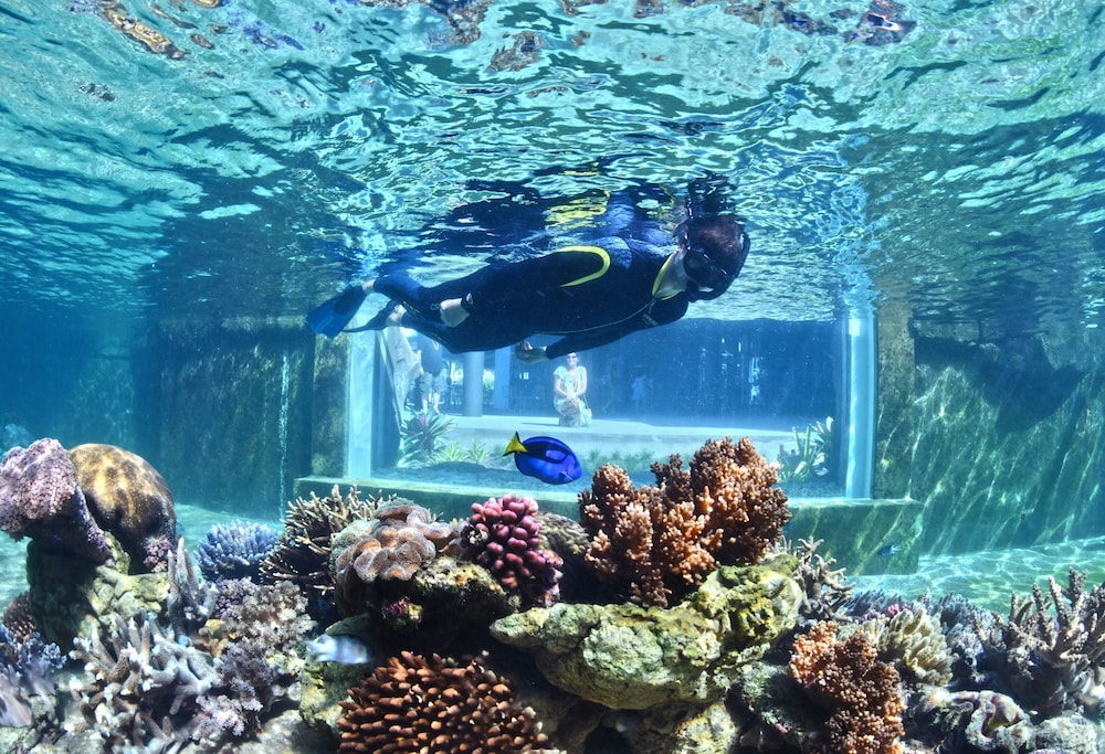 Daydream Island Resort by null