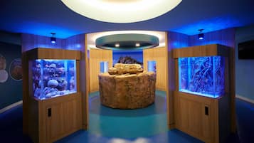 Couples treatment room(s), massages