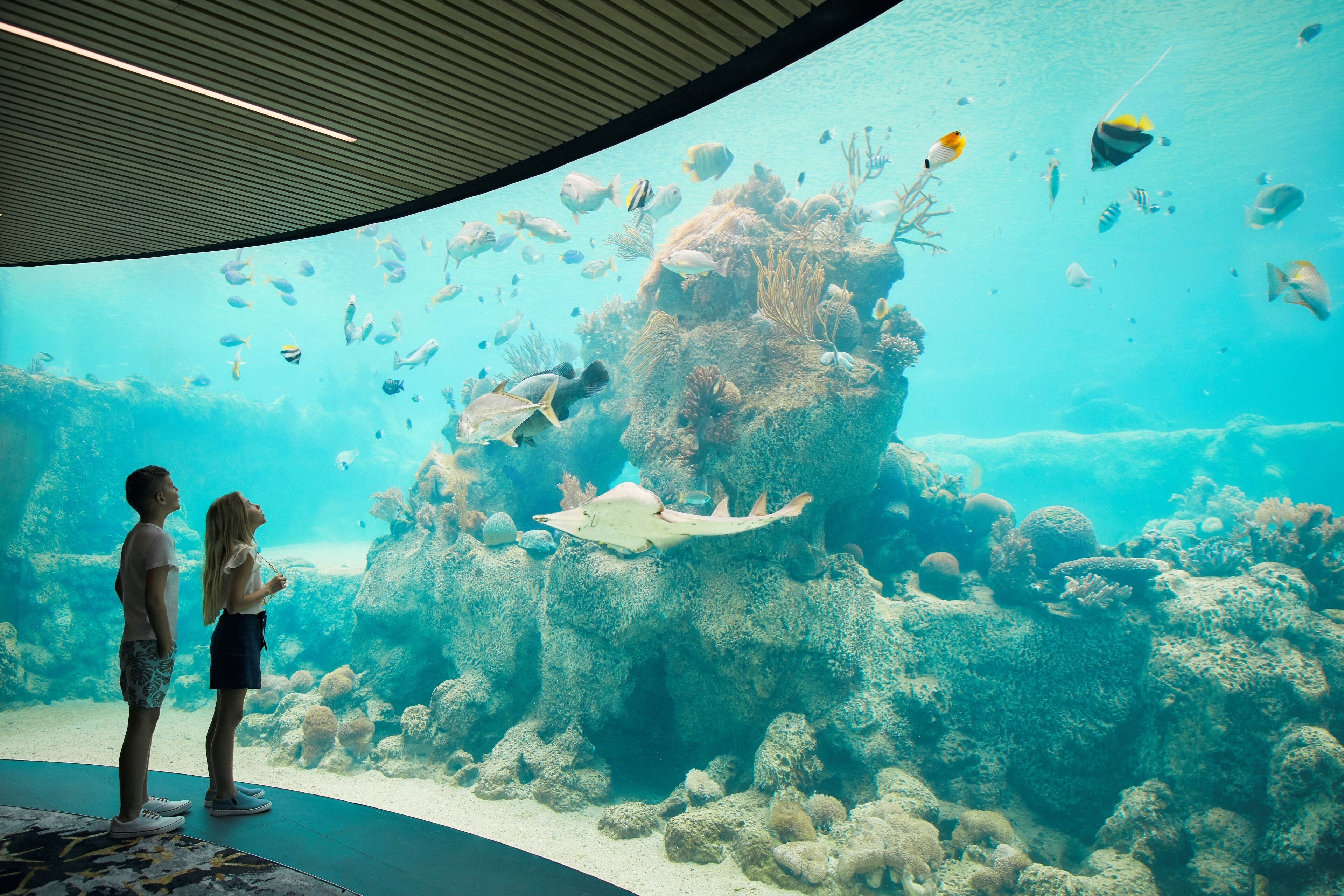 An underwater aquarium with various fish and coral formations.