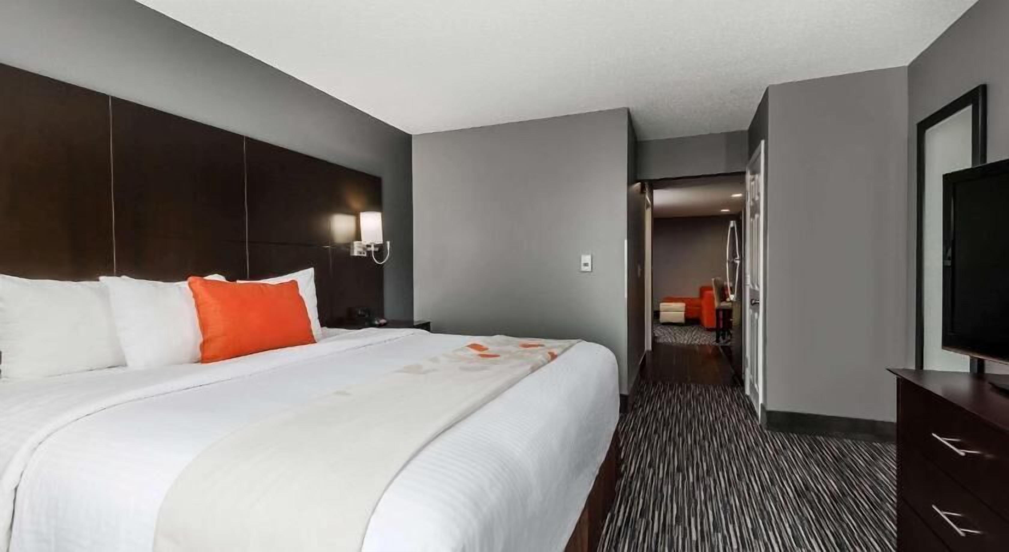 1 habitación, sábanas de algodón egipcio y ropa de cama de alta calidad 