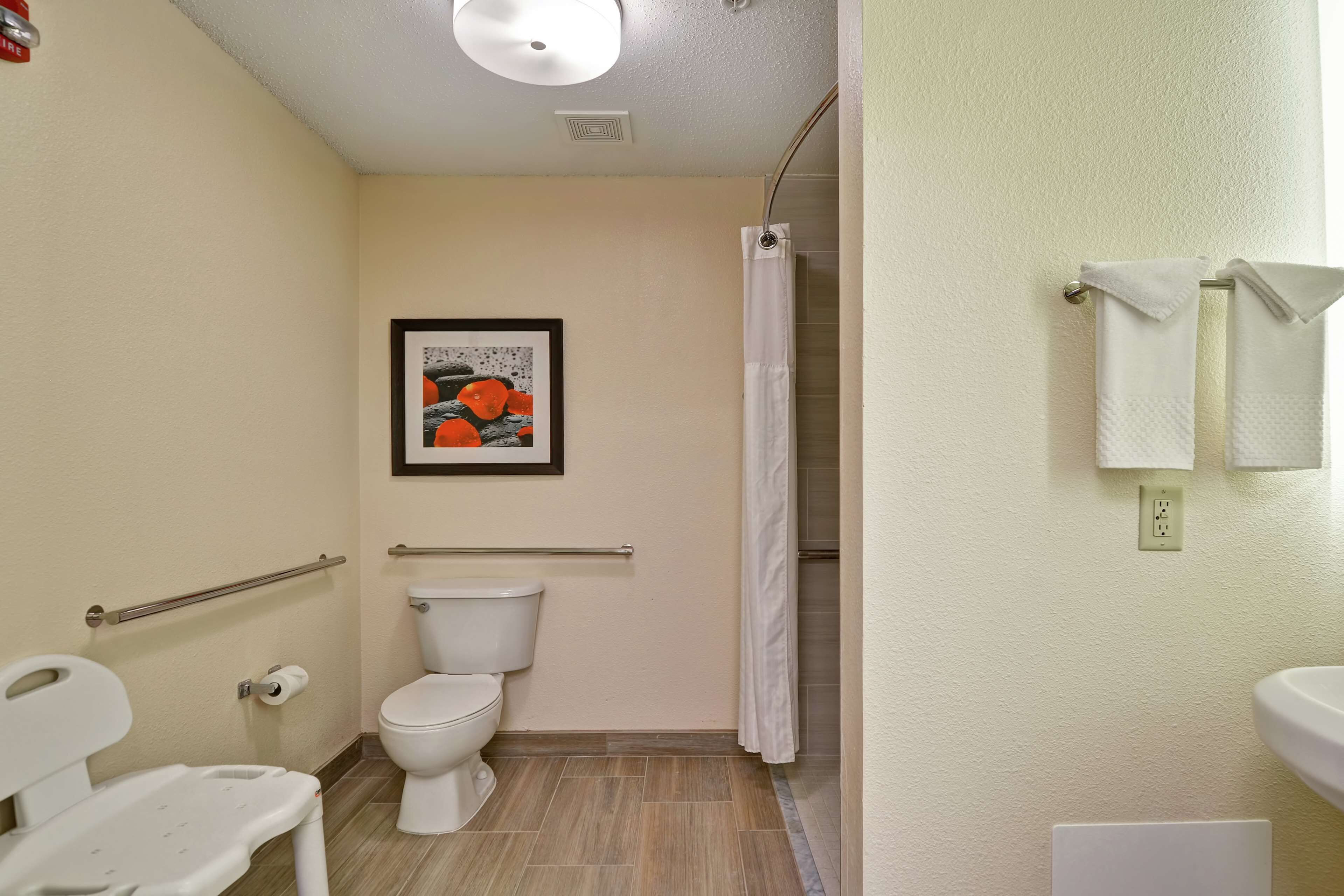 A bathroom with a toilet, a shower, a handrail, a framed picture on the wall, and a sink with a towel rack.