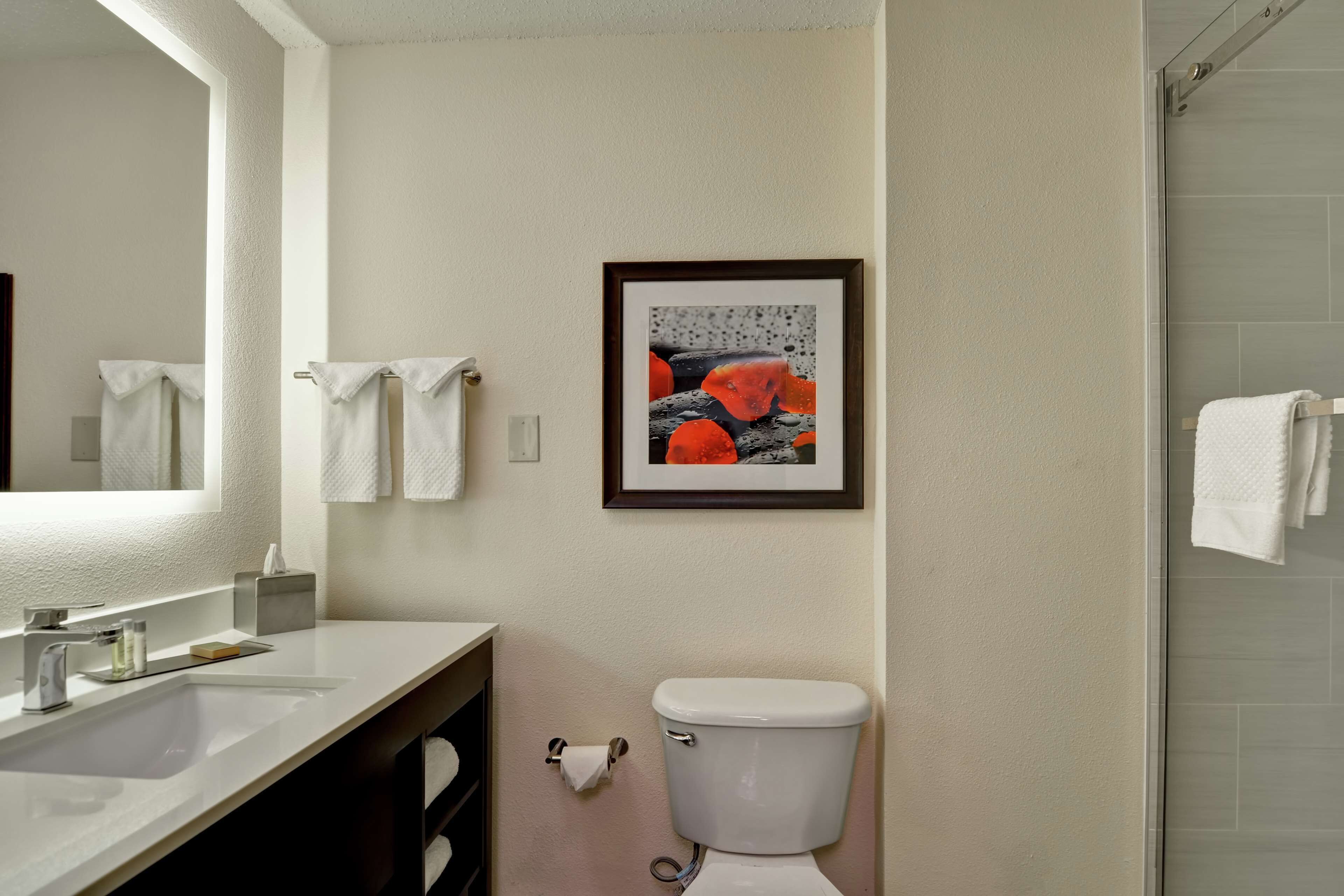 Un baño con un lavabo blanco, un inodoro, un cuadro en la pared y una puerta de ducha de cristal.