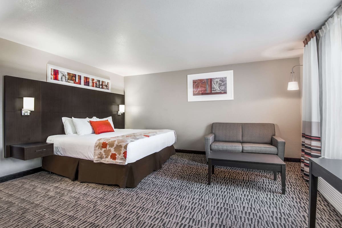 A hotel room with a bed, a gray armchair, a small table, a nightstand, a wall-mounted lamp, and artwork on the walls.