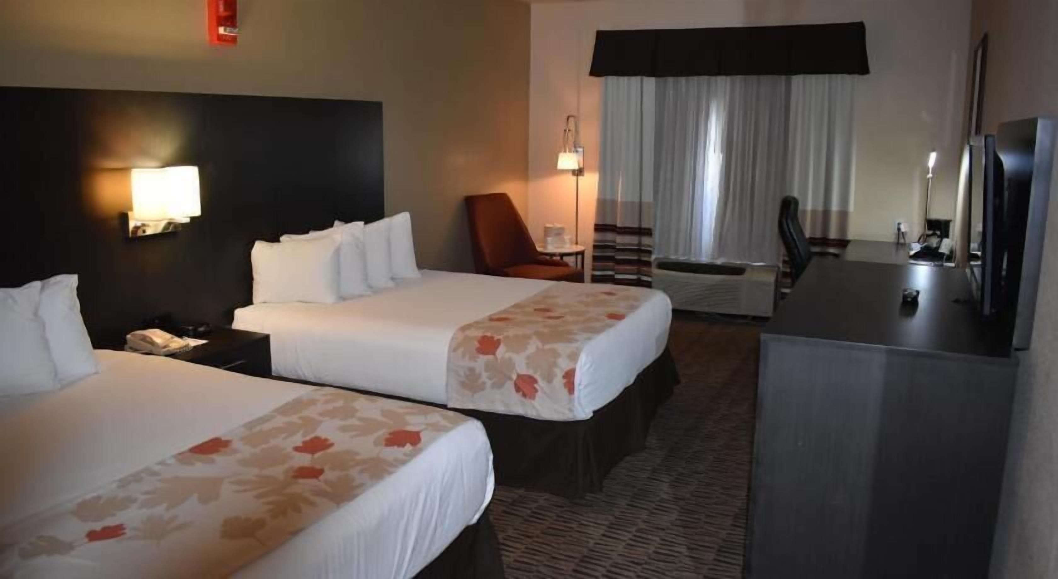 Premium bedding, in-room safe, desk, blackout drapes