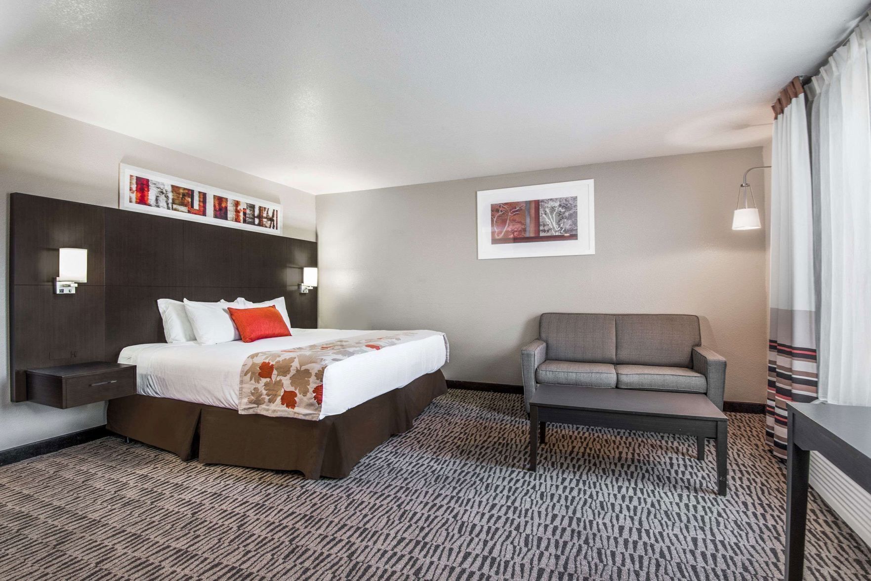 Premium bedding, in-room safe, desk, blackout drapes