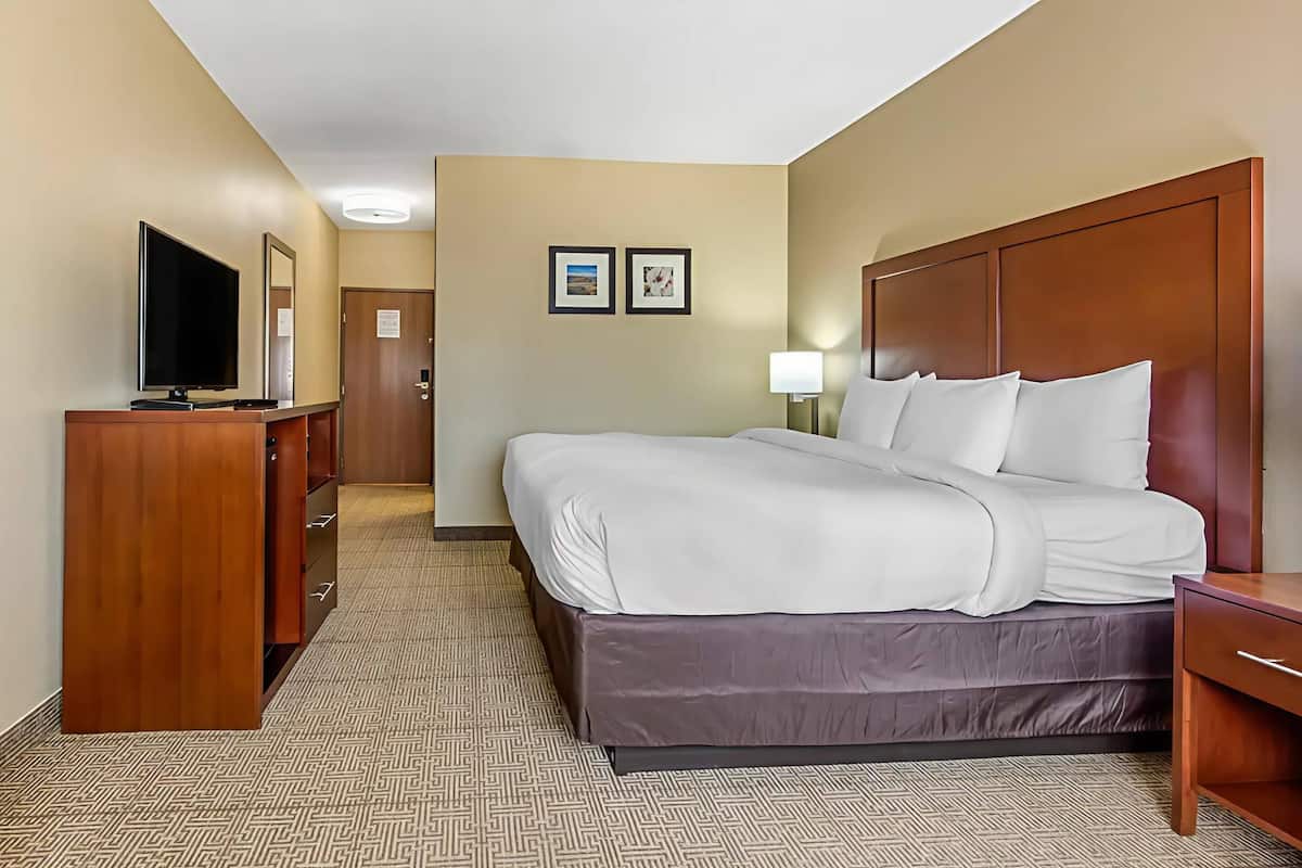 A hotel room with a bed, a TV, a desk, and a lamp.