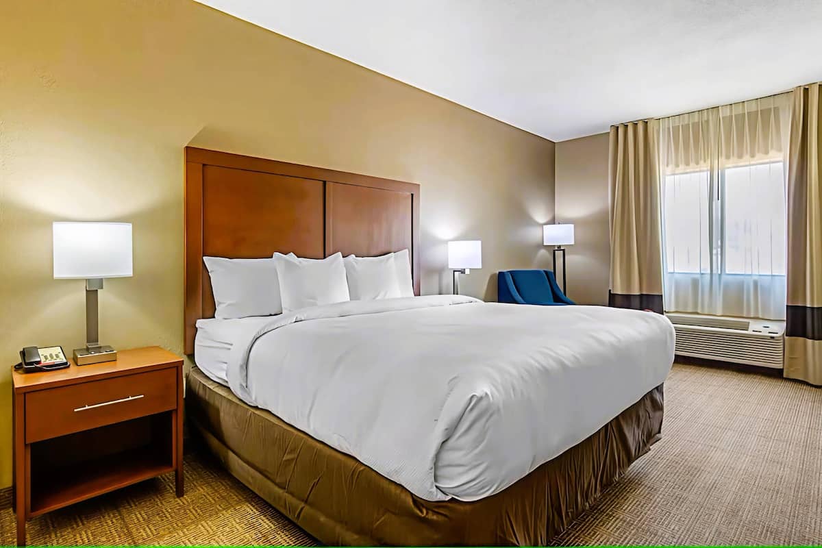 Standard Room, 1 King Bed, Non Smoking | Premium bedding, pillowtop beds, desk, blackout drapes