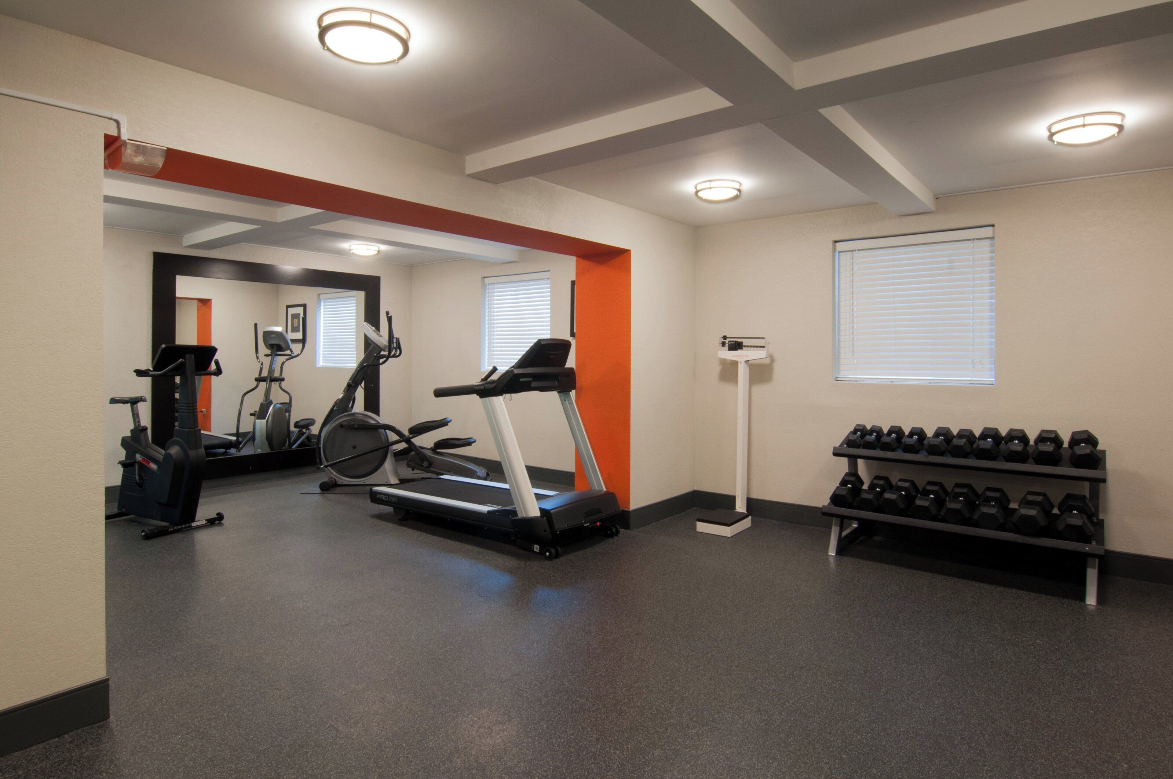 A gym with treadmills, stationary bikes, and a rack of dumbbells.