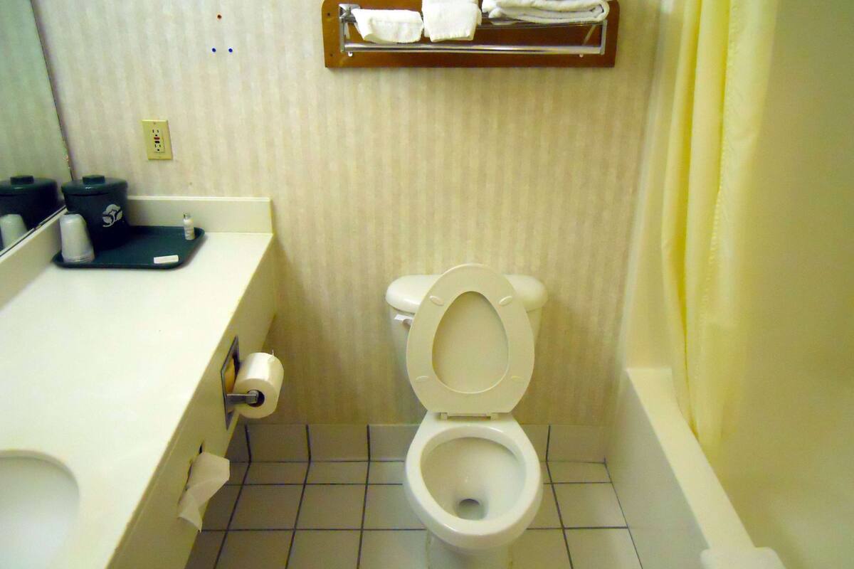 Een haardroger, handdoeken, toiletpapier