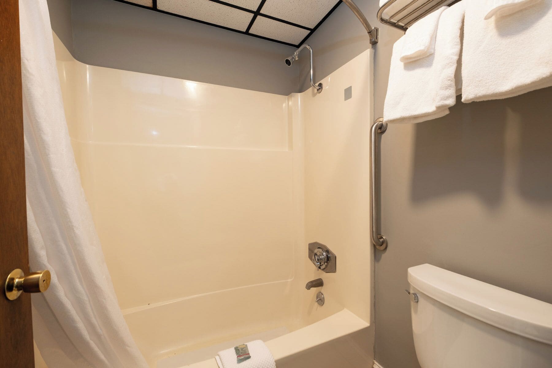 A bathroom with a bathtub, a toilet, and a shower.