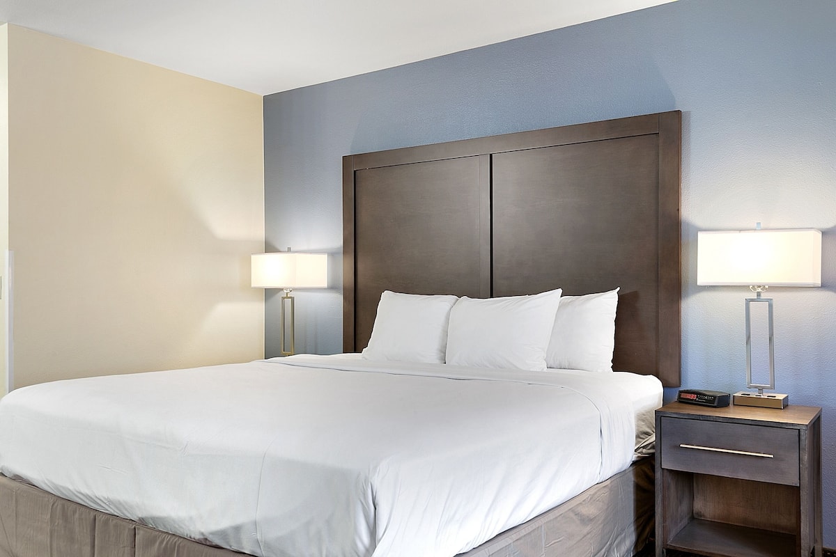 Room, 1 King Bed, Non Smoking | Desk, cribs/infant beds, rollaway beds, free WiFi