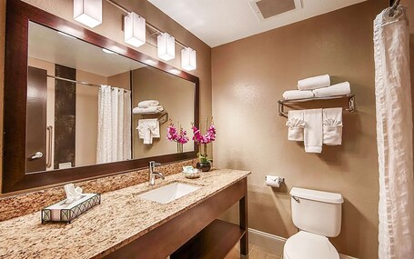 Sonesta Essential Orlando - Image 5