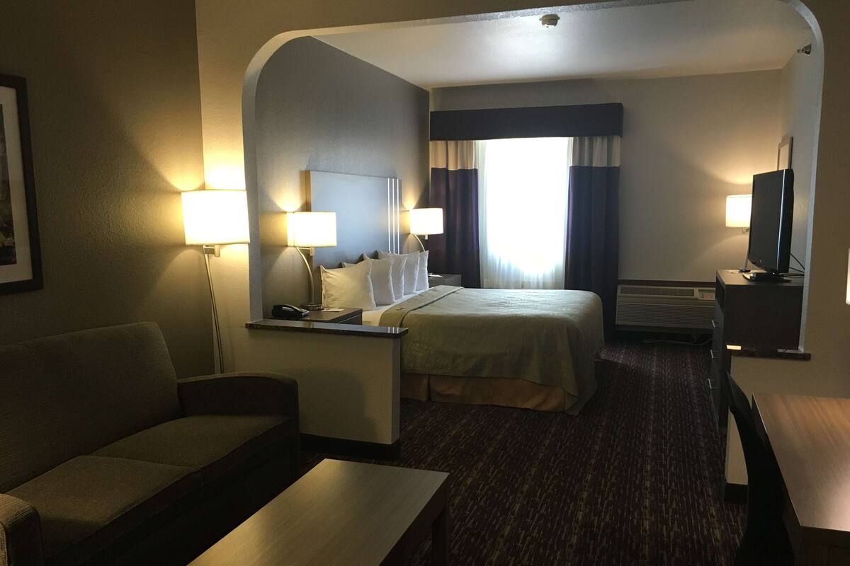 Una habitación de hotel con una cama, un escritorio, una silla, un sofá y un televisor.