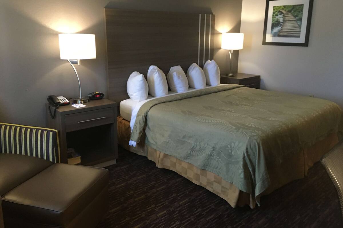 Habitación de hotel con una cama, dos mesitas de noche, una lámpara, una silla y un cuadro en la pared.