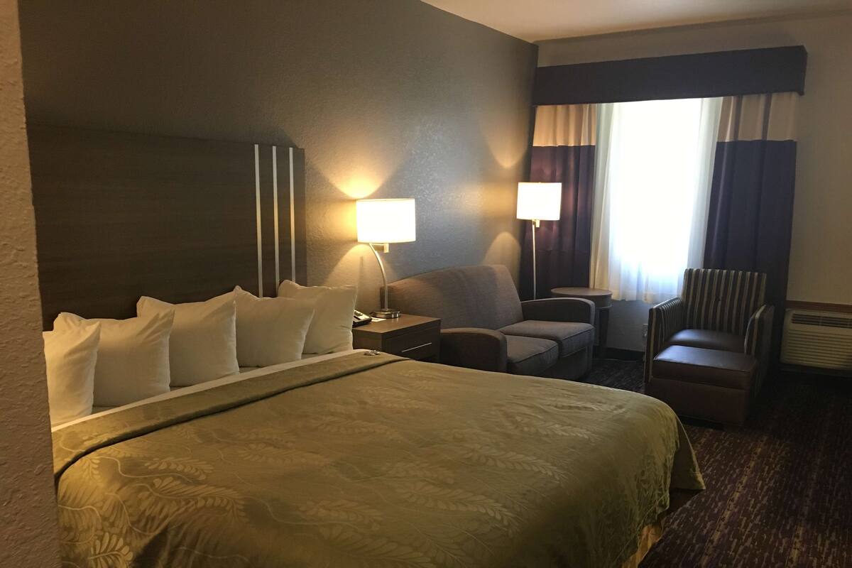 Una habitación de hotel con una cama grande, un escritorio, una silla y un sofá.